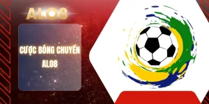 CƯỢC BÓNG CHUYỀN ALO8