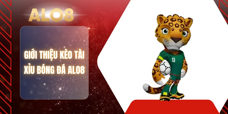 Giới thiệu kèo tài xỉu bóng đá ALO8