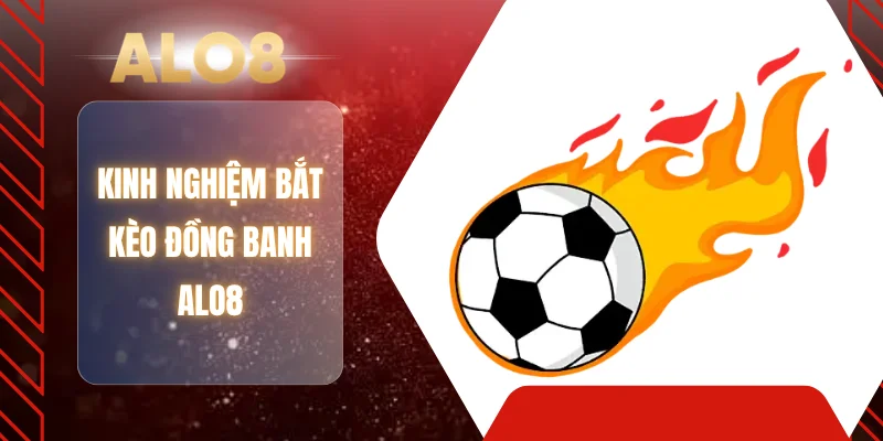 Kinh nghiệm bắt kèo đồng banh ALO8