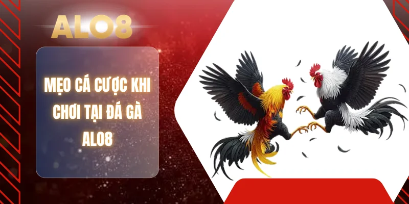 Mẹo cá cược khi chơi tại đá gà ALO8