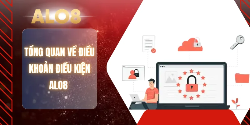 Tổng quan về điều khoản điều kiện ALO8 