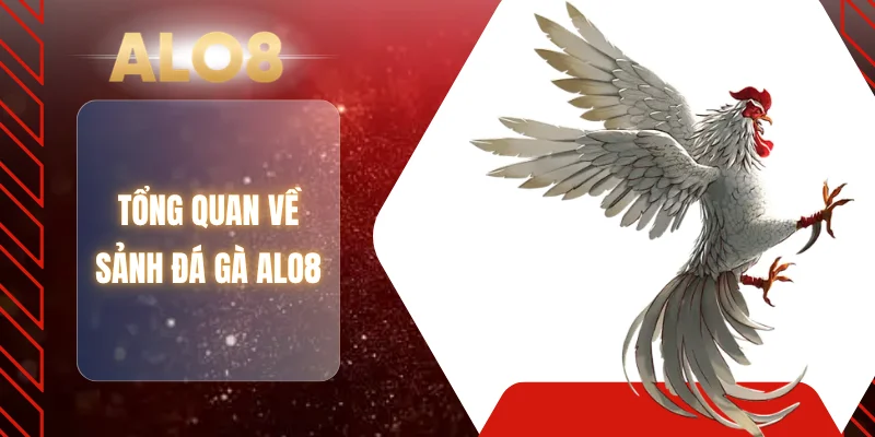 Tổng quan về sảnh đá gà ALO8